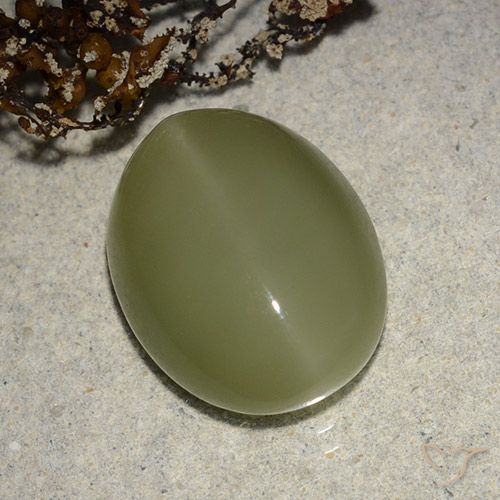 8.14ct Naturale Verde giallastro Occhio di gatto actinolite, Ovale, Traslucido