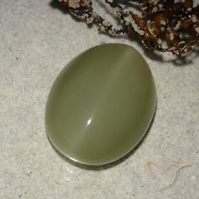 Occhio di gatto actinolite Verde giallastro naturale da 8.14 ct, Ovale, Traslucido