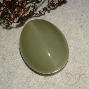 Occhio di gatto actinolite Verde giallastro naturale da 8.14 ct, Ovale, Traslucido