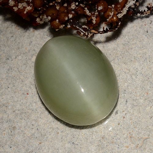 5.66ct Naturale Verde terroso Occhio di gatto actinolite, Ovale, Traslucido