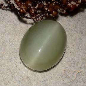 Occhio di gatto actinolite Verde terroso naturale da 5.66 ct, Ovale, Traslucido
