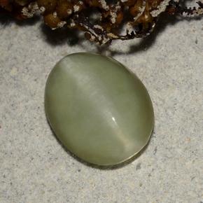 Actinolite cat's eye naturale verde da 2,40 ct, taglio ovale, traslucido