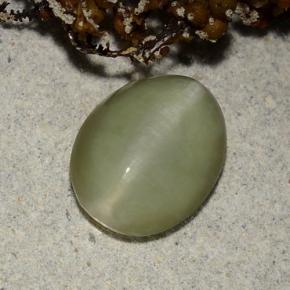 Actinolite cat's eye naturale verde da 2,40 ct, taglio ovale, traslucido