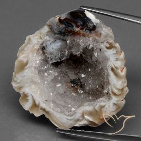 Il geode di agata Multicolore naturale da 41.53 ct, Taglio a fantasia, Opaco