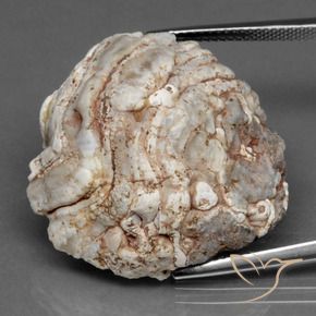 Il geode di agata Multicolore naturale da 41.53 ct, Taglio a fantasia, Opaco