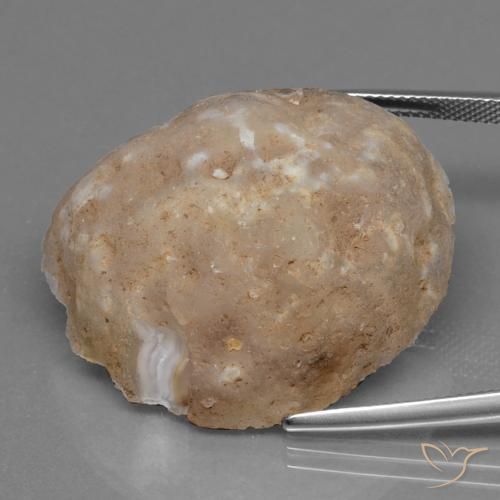 Il geode di agata Multicolore naturale da 53.84 ct, Taglio a fantasia, Opaco