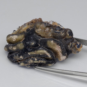 Il geode di agata Multicolore naturale da 61.00 ct, Forma fantasia, Opaco