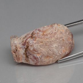 Geodi di agata naturale multicolore da 44,32 ct, forma fantasia, opaco
