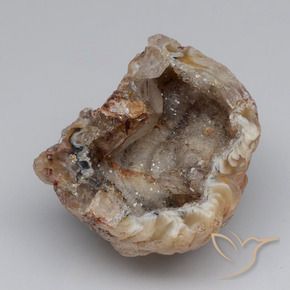 Il geode di agata Multicolore naturale da 40.83 ct, Taglio a fantasia, Opaco