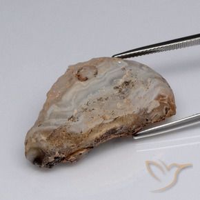 Il geode di agata Multicolore naturale da 40.37 ct, Taglio a fantasia, Opaco