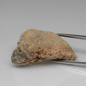 Geodi di agata naturale multicolore da 55,91 ct, forma fantasia, opaco