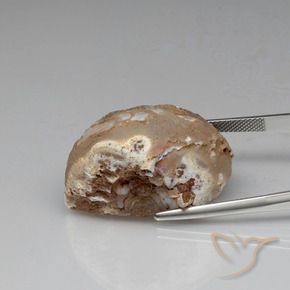 Il geode di agata Multicolore naturale da 57.88 ct, Taglio a fantasia, Opaco
