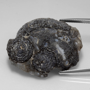 Geodi di agata naturale multicolore da 65,22 ct, forma fantasia, opaco