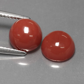 Gemme di Agata Arancione naturale da  ct, Taglio rotondo, Opaco