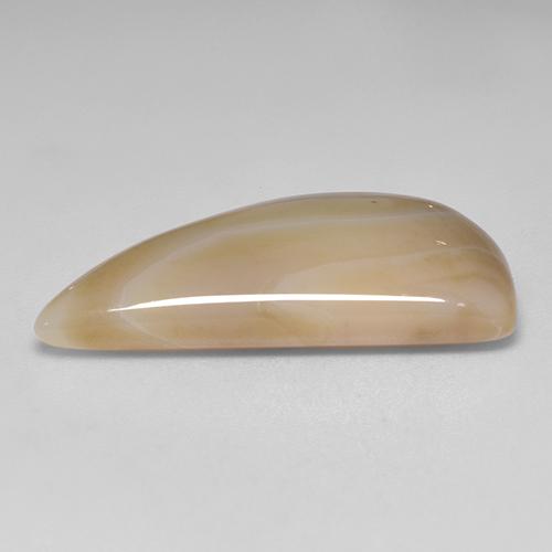 Agata naturale multicolore da 18,17 ct, forma fantasia, traslucido