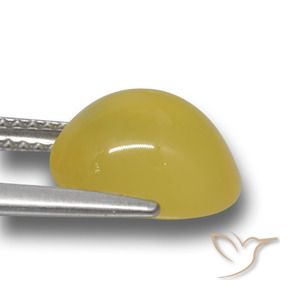 Agata Giallo medio-chiaro naturale da 4.00 ct, Ovale, Traslucido
