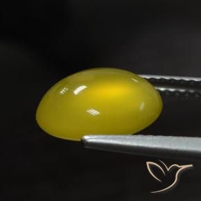 Agata Giallo intenso naturale da 2.95 ct, Ovale, Traslucido