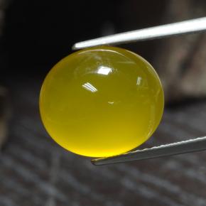 Agata Giallo miele chiaro naturale da 6.60 ct, Taglio ovale, Traslucido