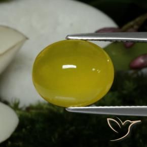 Agata Giallo miele chiaro naturale da 5.60 ct, Ovale, Traslucido