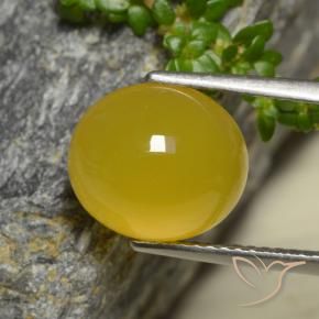 Agata Giallo intenso naturale da 4.42 ct, Ovale, Traslucido