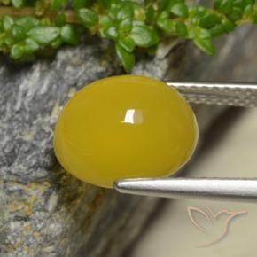 Agata Giallo intenso naturale da 4.42 ct, Ovale, Traslucido