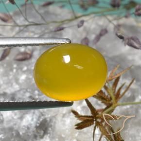 Agata Giallo intenso naturale da 4.02 ct, Ovale, Traslucido
