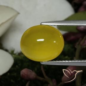 Agata Giallo medio naturale da 4.59 ct, Ovale, Traslucido