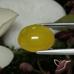 Agata Giallo medio naturale da 4.59 ct, Ovale, Traslucido