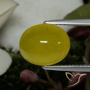 Agata Giallo medio naturale da 4.19 ct, Ovale, Traslucido