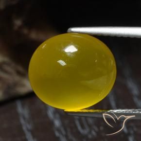 Agata Giallo intenso naturale da 4.55 ct, Ovale, Traslucido