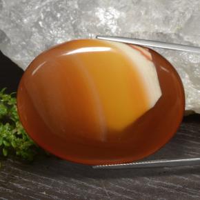Agata naturale multicolore da 81,88 ct, taglio ovale, traslucido