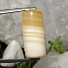 Agata naturale multicolore da 19,47 ct, forma fantasia, traslucido