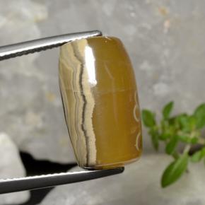 Agata naturale multicolore da 18,27 ct, forma fantasia, traslucido