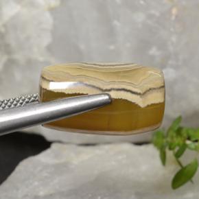 Agata naturale multicolore da 18,27 ct, forma fantasia, traslucido