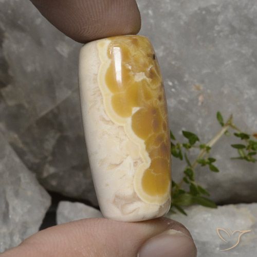 Agata multicolore naturale da 56,94 ct, forma fantasia, opaco