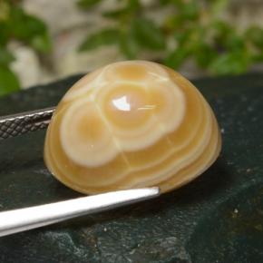 Agata Multicolore naturale da 14.86 ct, Taglio ovale, Opaco