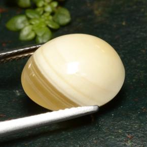 Agata naturale multicolore da 9,46 ct, taglio ovale, traslucido