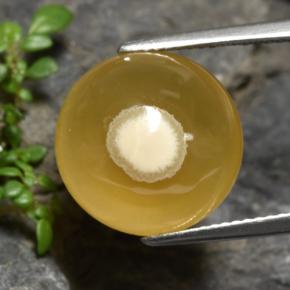 Agata naturale multicolore da 11,93 ct, taglio ovale, traslucido
