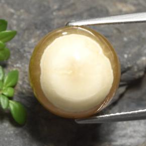 Agata naturale multicolore da 15,16 ct, taglio ovale, traslucido