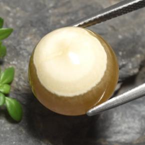 Agata naturale multicolore da 15,16 ct, taglio ovale, traslucido