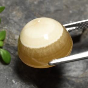 Agata naturale multicolore da 15,16 ct, taglio ovale, traslucido