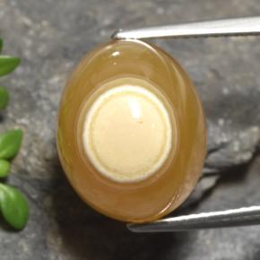 Agata naturale multicolore da 18,18 ct, taglio ovale, traslucido