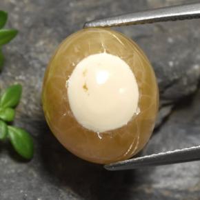 Agata Multicolore naturale da 13.60 ct, Taglio ovale, Traslucido