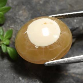 Agata Multicolore naturale da 13.60 ct, Taglio ovale, Traslucido