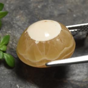 Agata Multicolore naturale da 13.60 ct, Taglio ovale, Traslucido