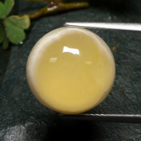 Agata naturale multicolore da 10,73 ct, taglio rotondo, traslucido