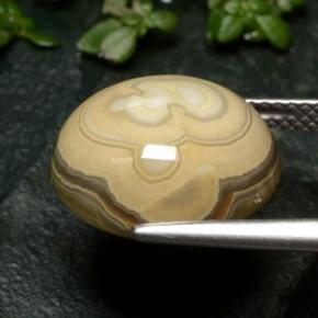 Agata Multicolore naturale da 12.04 ct, Taglio ovale, Opaco