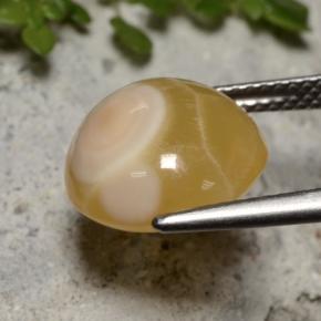 Agata naturale multicolore da 7,59 ct, taglio ovale, traslucido