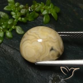 Agata Multicolore naturale da 11.32 ct, Ovale, Opaco