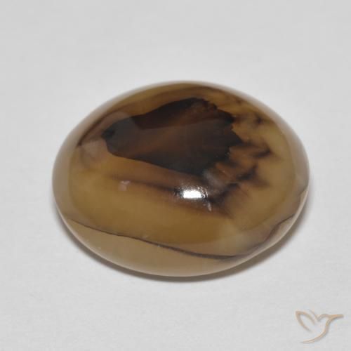 Agata Multicolore naturale da 9.50 ct, Ovale, Traslucido